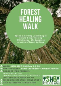 Forest Healing Walk